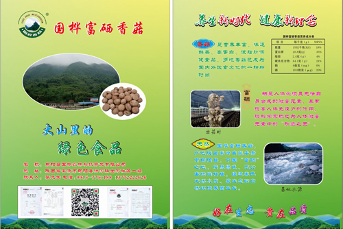 金年会下载—大山里的绿色食品